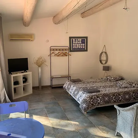 Le Mazet De La Cigale Apartment